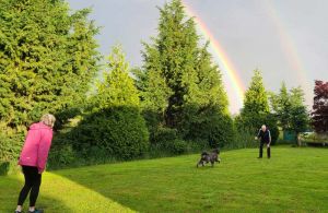 Atlee the poodle with a rare double rainbow