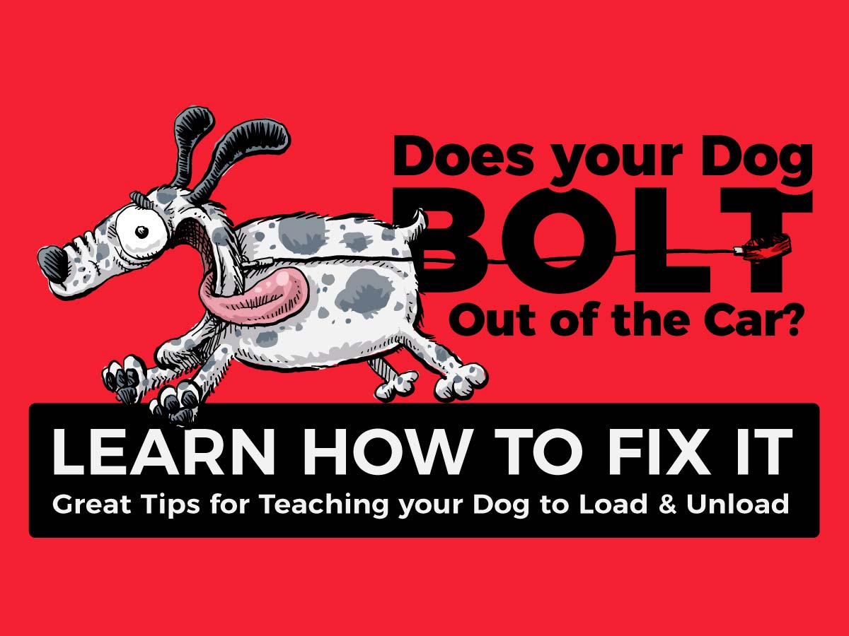 Teach Your Dog to Load and Unload Safely in a Car