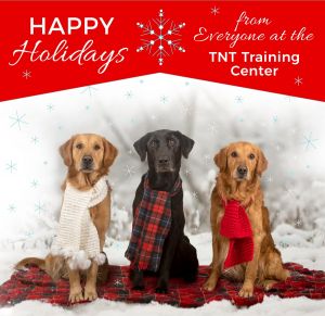 Happy Holidays from everyone at the TNT Training Center