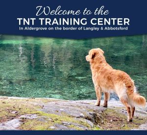 Welcome to the Tnt Dog Training Center