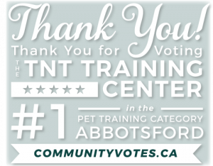 thank for votiing tnt the best dog trainer in abbotsford