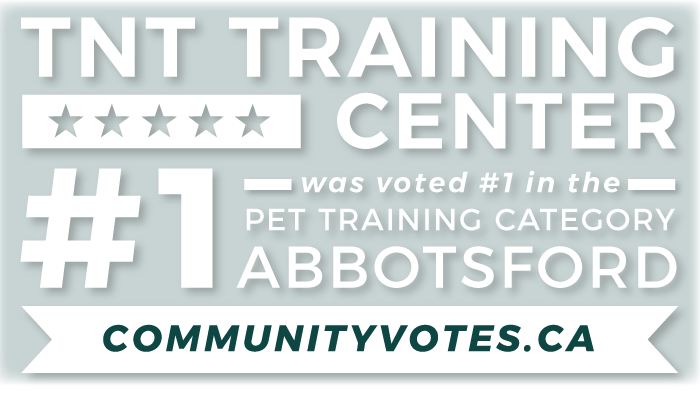 voted best dog trainer in abbotsford