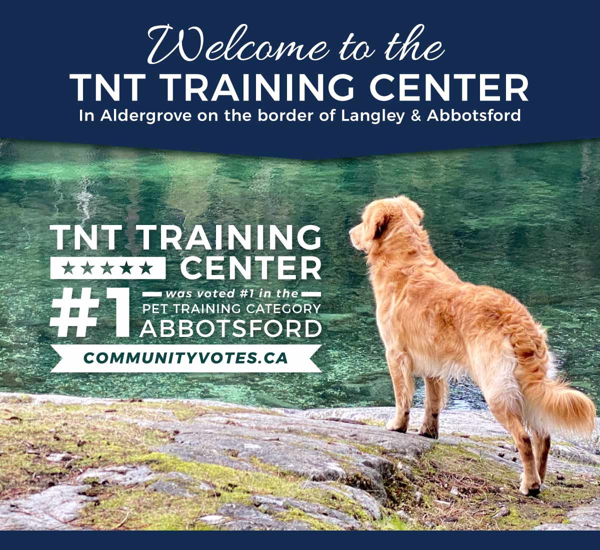 dog training abbotsford