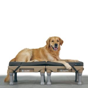 double restore dog bed for klimb platforms