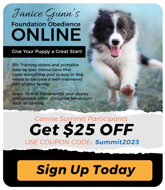 Foundation Obedience Online