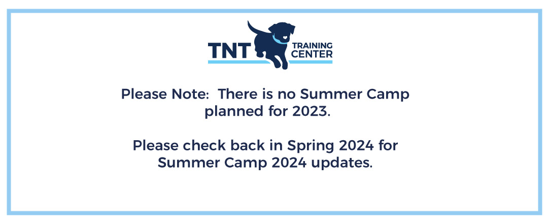 no-summer-camp no summer camp in 2023