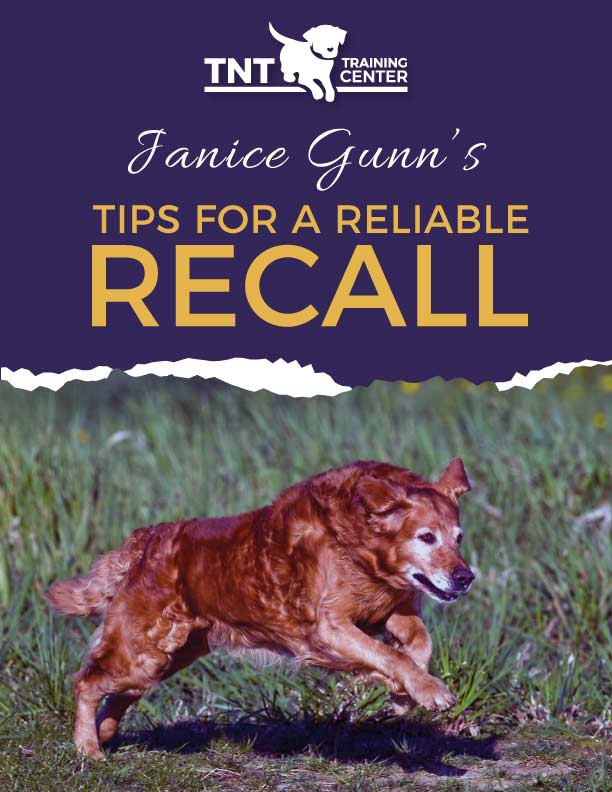 Janice Gunn's tips for a reliable recall free ebook