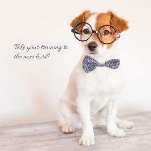 smart puppy with glasses - level 2 class