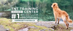 TNT voted number 1 best dog trainer in Abbotsford BC