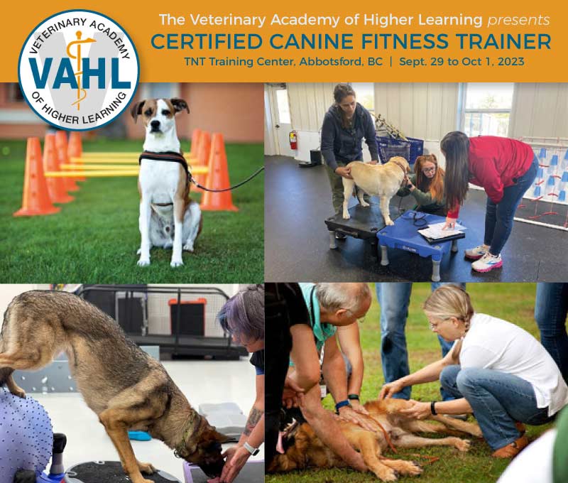 Certified Canine Fitness Trainer (CCFT) Course