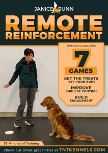 remote reinforcement online video dog training