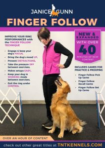 Finger Follow online video cover