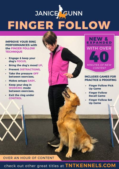 Finger Follow online video cover