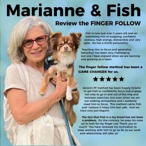Marianne & Long-coated Chihuahua review Finger Follow