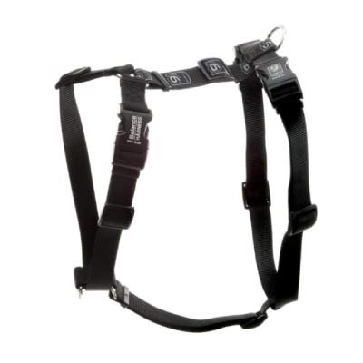 Balance Harness