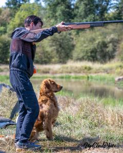 Golden Retriever, Catch hunting