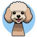 toy poodle puppy icon