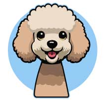 toy poodle puppy icon