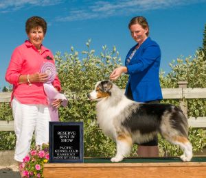 Show handling instructor, Kim Van Biert, with her Reserve Best in Show Winning Australian Shepherd