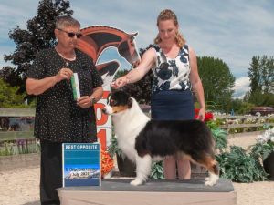 show handling instructor, kim, with her best of opposite winner