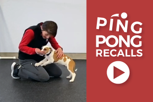 Ping Pong Recalls