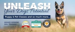 award winning dog and puppy training classes
