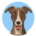 Cartoon Whippet