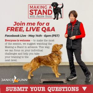 Making a Stand Q& A