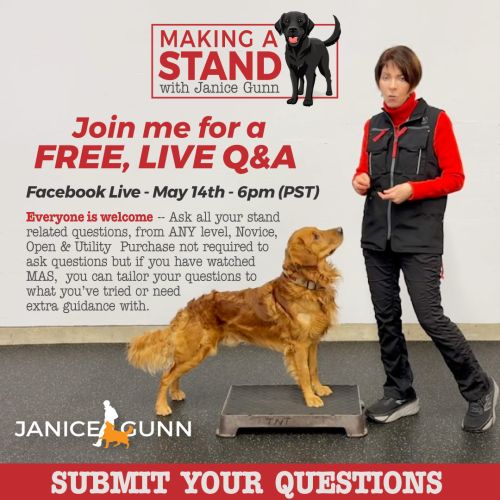 Making a Stand Live Q & A