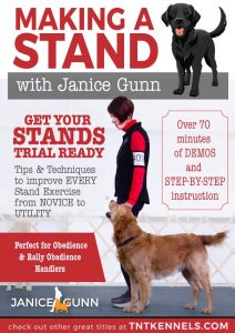 Making a Stand - online video training