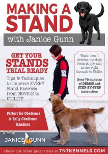Making a Stand - Teach your dog to stand training course