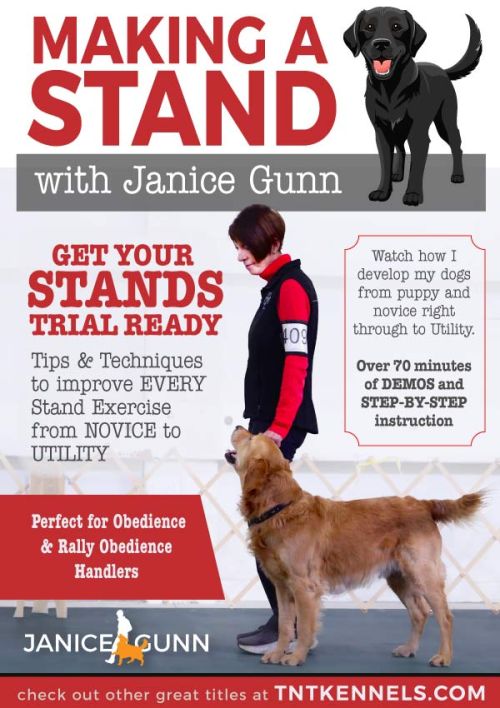 Making a Stand - Teach your dog to stand training course