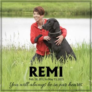 Remi - in memory