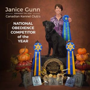 Janice Gunn wins CKC National Top Obedience Competitor Award.