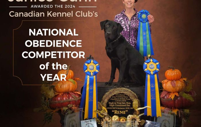 Janice Gunn awarded the 2024 CKC National Top Obedience Competitor