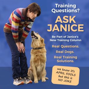 Ask Janice