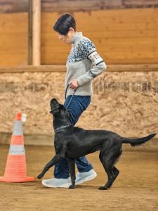 Chime heeling (2026)
