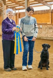 Chime - earns a High in Trial from the novice class