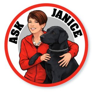 ask Janice - dog training questions
