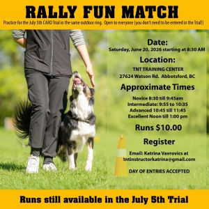 Rally Fun Match