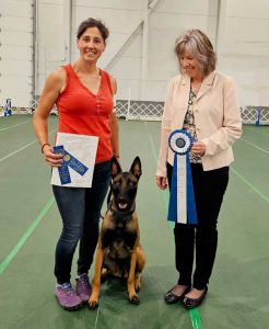 Rally trainer, Katrina, earning a High in Class award with Nezzy (Belgian Maliois)