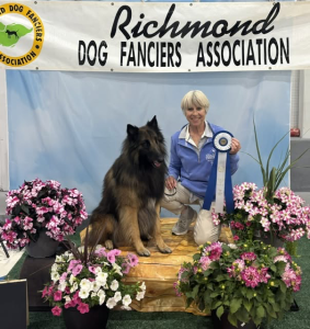 dog trainer Wendy daeschel with herBelgian Shepherd
