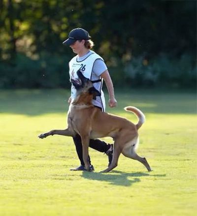 michaela-b-working-m-sized IGP Dog Trainer - michaela bouzkova