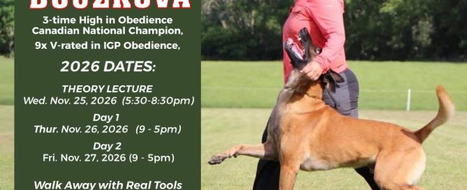 michaela bouzkova obedience seminar