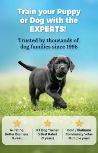 trusted by 1000s of Fraser Valley Dog Families since 1998