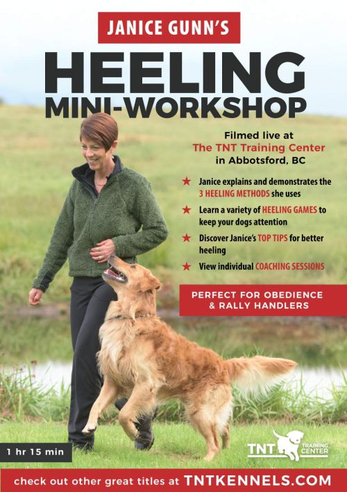 Janice Gunn's Mini Heeling Workshop