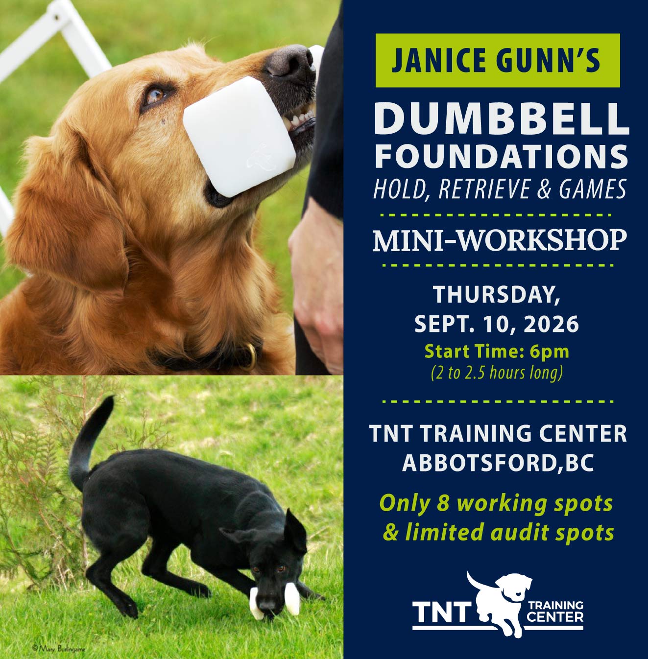 mini-retrieve-post-graphic3 Janice Gunn's Dumbbell Retrieve Workshop